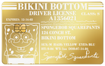 DRIVER LICENSE