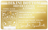 DRIVER LICENSE