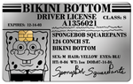 DRIVER LICENSE