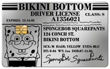 DRIVER LICENSE