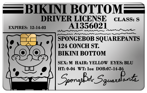 DRIVER LICENSE