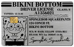 DRIVER LICENSE