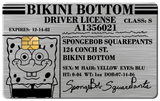 DRIVER LICENSE