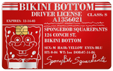 DRIVER LICENSE